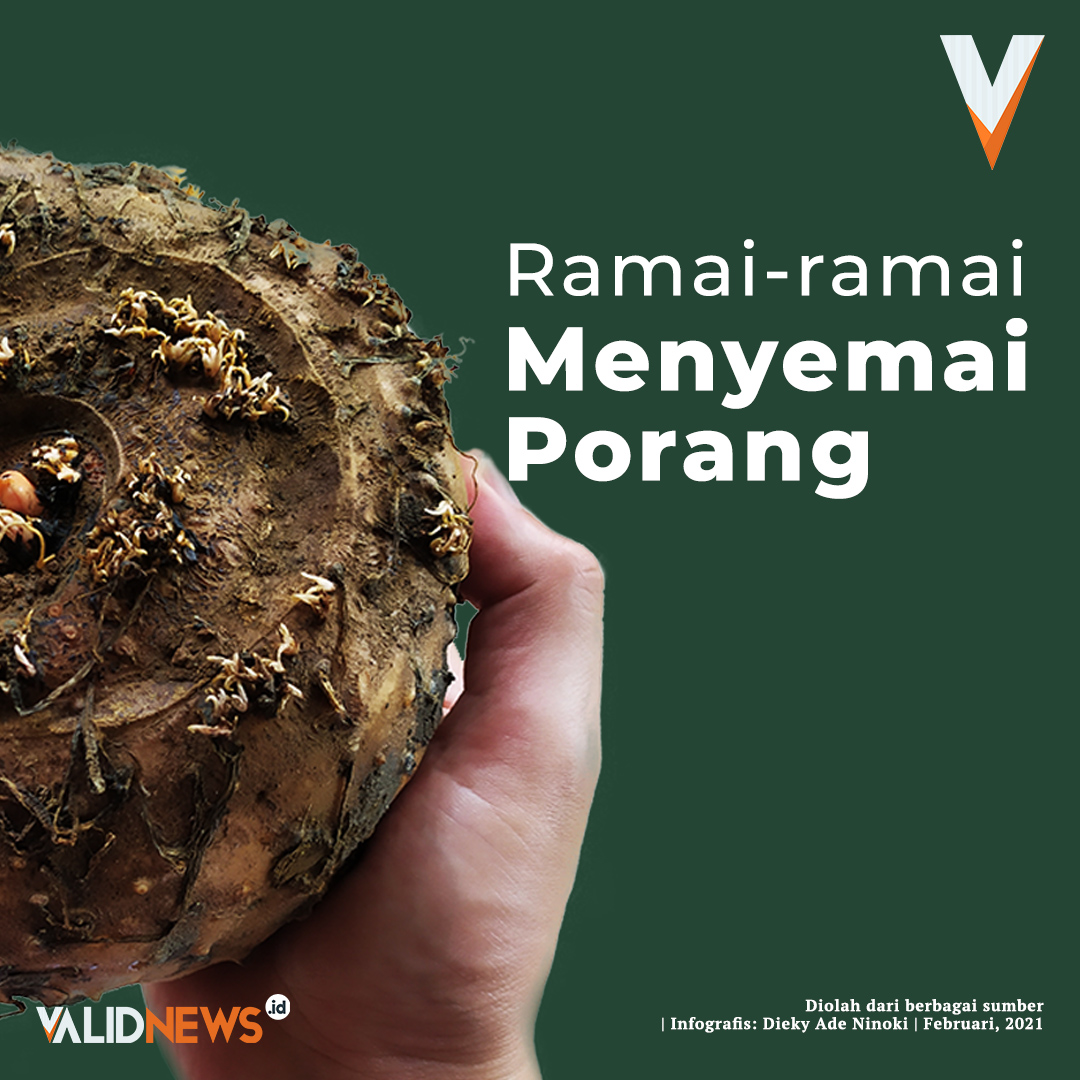 Rama - Ramai Menyemai Porang